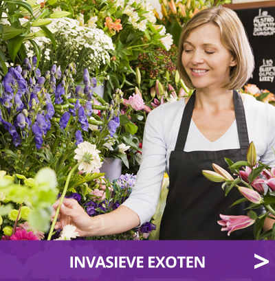 Invasieve exoten