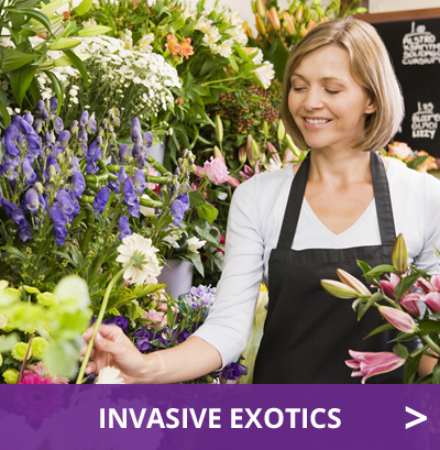 Invasive exotics