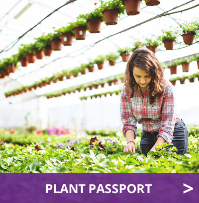 plant-passport