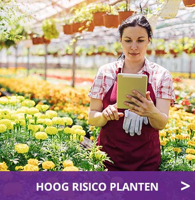 HOOG RISICO PLANTEN