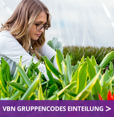 VBN-Gruppencodes-einteilung