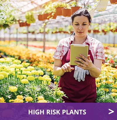 high-risk-plants